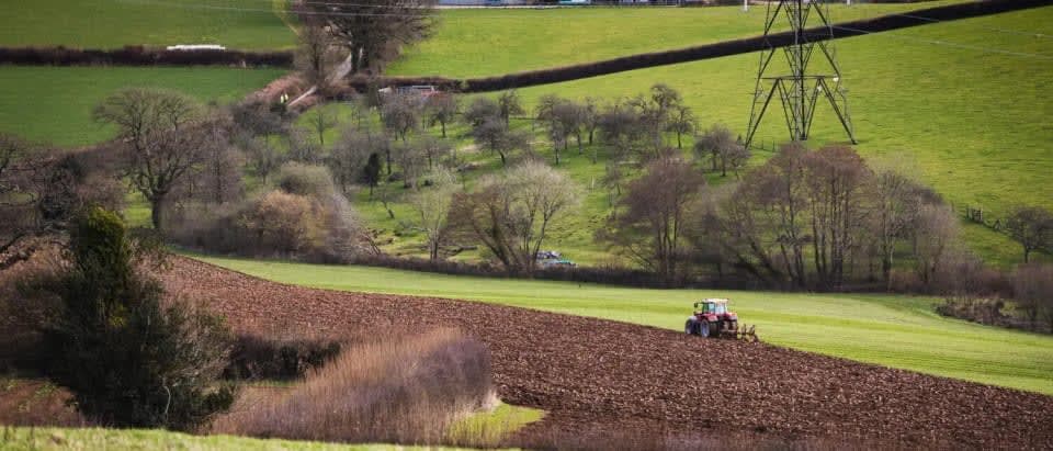 Riverford Organic Farmers cover image