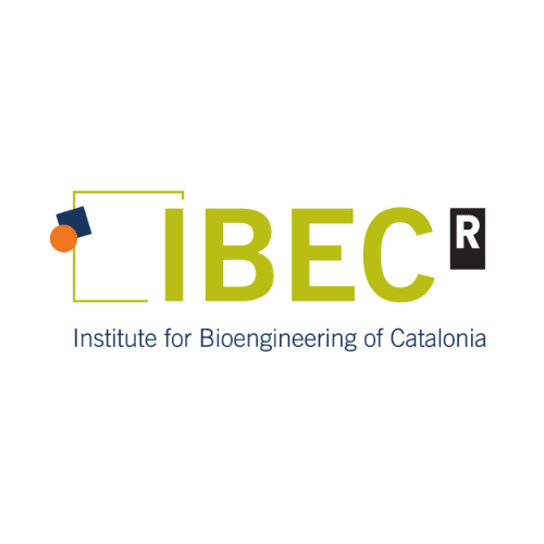 IBEC logo image