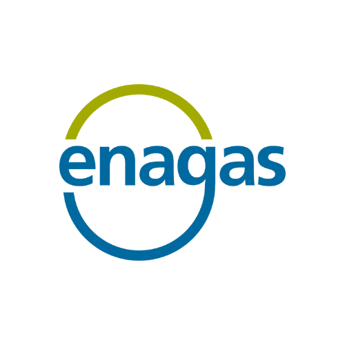 Enagás logo image