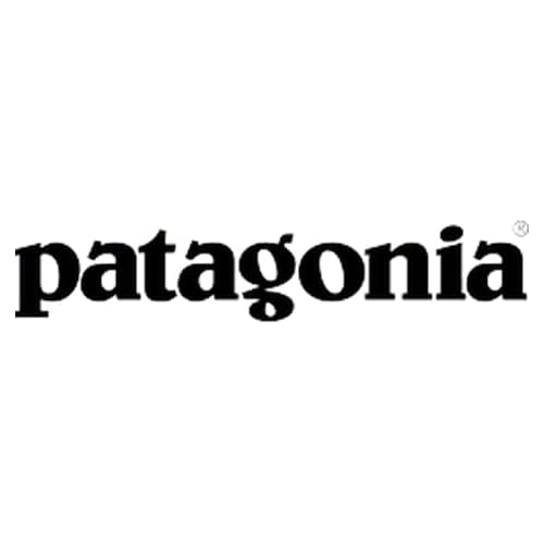 Patagonia logo image